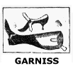 Thomas Garniss